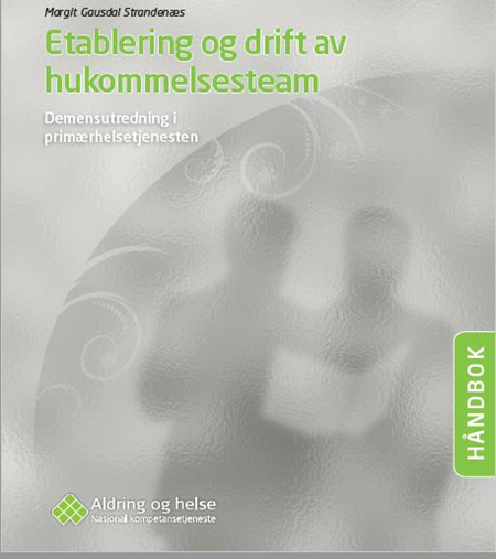 Etablering og drift av hukommelsesteam