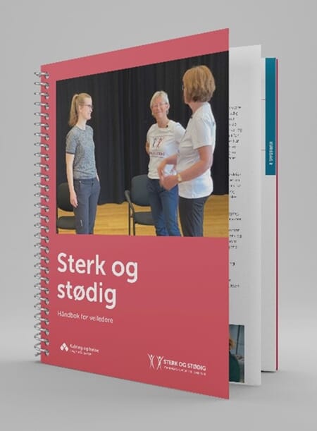 Sterk og stødig, Håndbok for veiledere