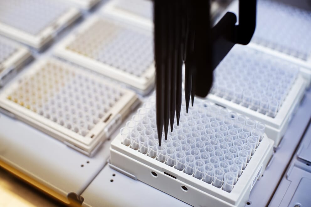 _V4P4687.JPG_AH_09654_Foto_Martin_Lundsvoll (1).jpg