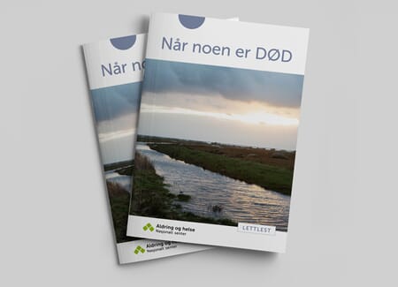 (PDF) Når noen er død, lettlest hefte